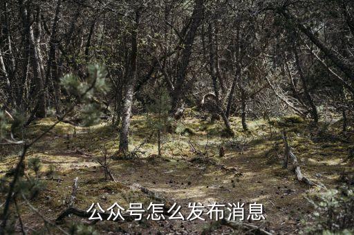 公眾號(hào)怎么發(fā)布消息
