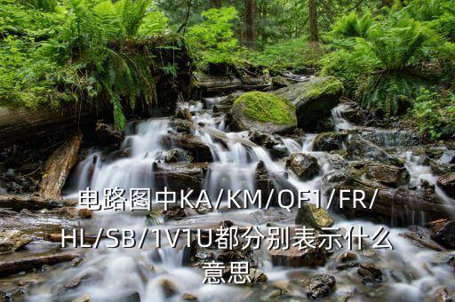電路圖中KA/KM/QF1/FR/HL/SB/1V1U都分別表示什么意思