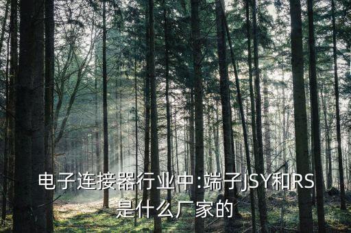 電子連接器行業(yè)中:端子JSY和RS是什么廠家的