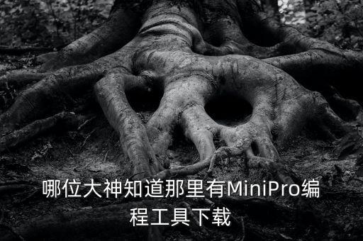 哪位大神知道那里有MiniPro編程工具下載