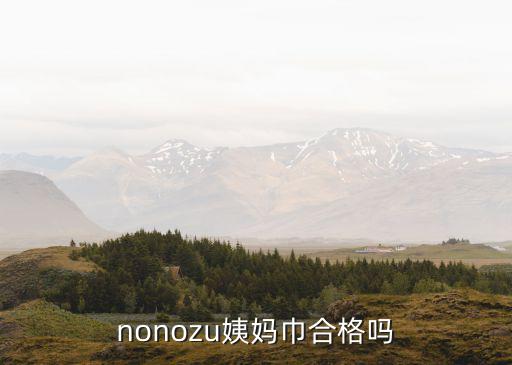 nonozu姨媽巾合格嗎