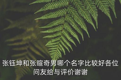 張鈺坤，張鈺坤和張暄奇男哪個名字比較好各位問友給與評價謝謝