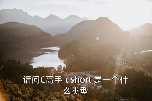 請(qǐng)問(wèn)C高手 ushort 是一個(gè)什么類型