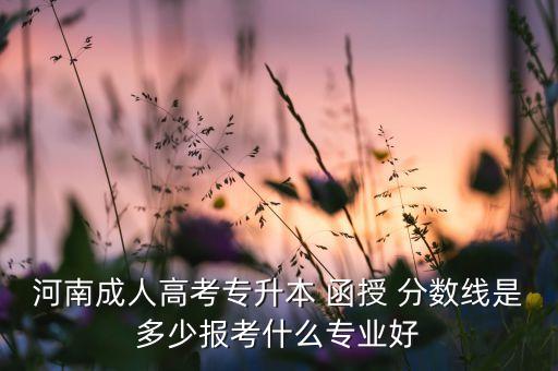 河南成人高考專升本 函授 分?jǐn)?shù)線是多少報(bào)考什么專業(yè)好
