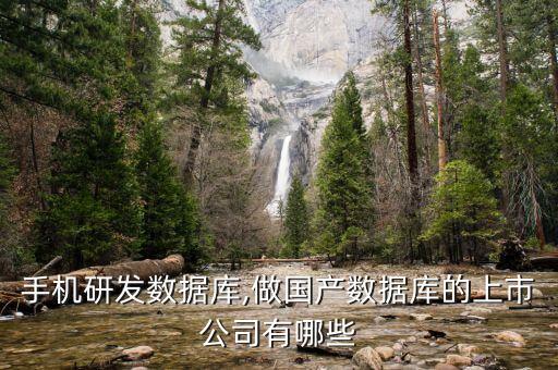 國產(chǎn)手機研發(fā)數(shù)據(jù)庫,做國產(chǎn)數(shù)據(jù)庫的上市公司有哪些?