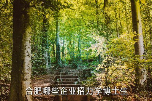  合肥哪些企業(yè)招力學博士生