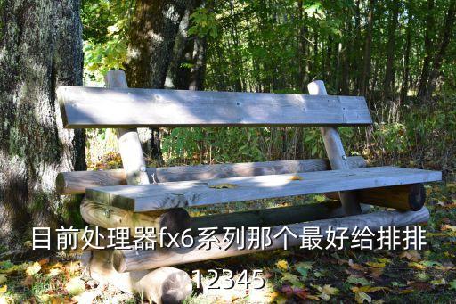 目前處理器fx6系列那個最好給排排12345