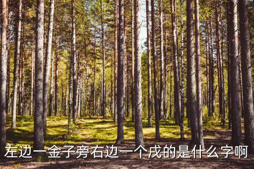 左邊一金子旁右邊一個(gè)戌的是什么字啊