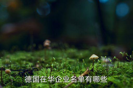 德國非標自動化公司排名,特種機器人公司排名前六排名第一