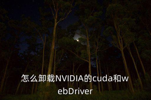 怎么卸載NVIDIA的cuda和webDriver