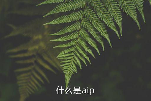 什么是aip