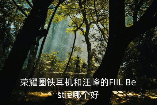 汪峰耳機，榮耀圈鐵耳機和汪峰的FIIL Bestie在材質上有什么差別