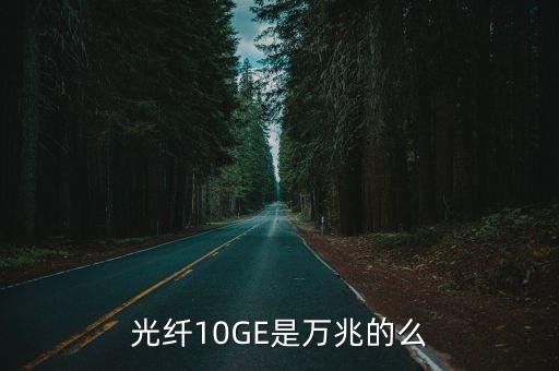 10ge，網(wǎng)絡(luò)中的10GE是什么
