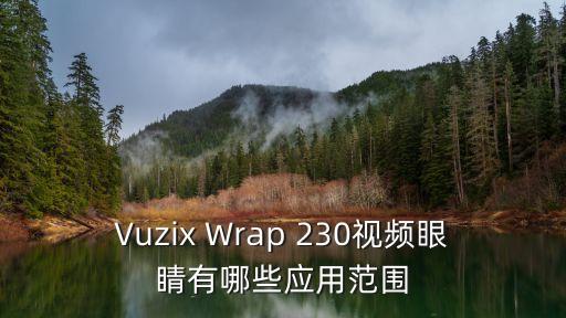 Vuzix Wrap 230視頻眼睛有哪些應(yīng)用范圍