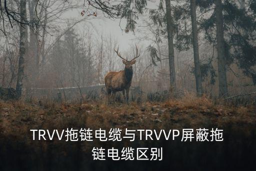 TRVV拖鏈電纜與TRVVP屏蔽拖鏈電纜區(qū)別