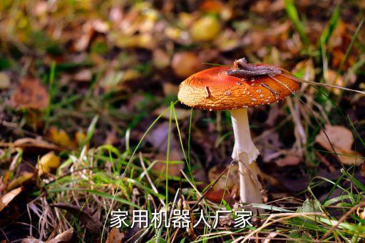 家用機器人廠家