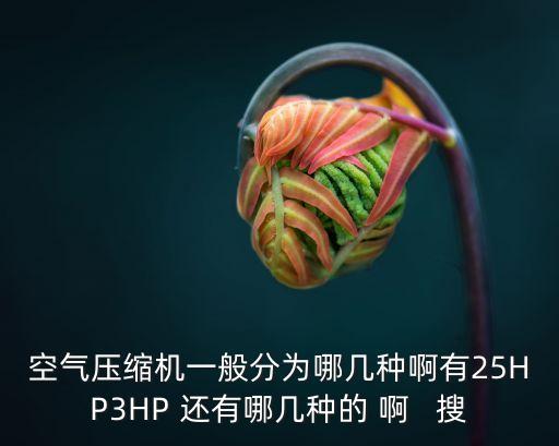 空氣壓縮機(jī)一般分為哪幾種啊有25HP3HP 還有哪幾種的 啊   搜
