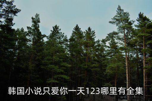 韓國(guó)小說(shuō)只愛(ài)你一天123哪里有全集