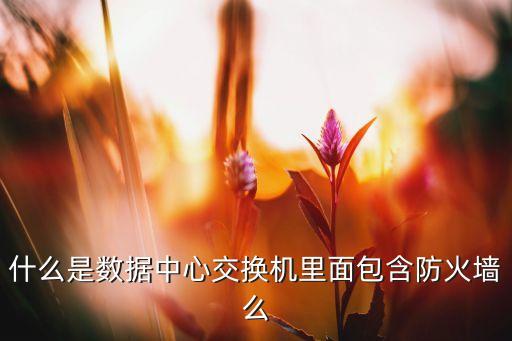 什么是數(shù)據(jù)中心交換機(jī)里面包含防火墻么