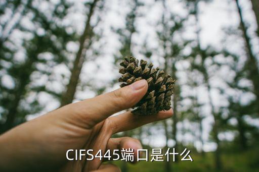 cifs協(xié)議，以太網(wǎng)的傳輸協(xié)議是什么