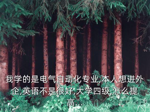我學(xué)的是電氣自動(dòng)化專業(yè),本人想進(jìn)外企,英語(yǔ)不是很好,大學(xué)四級(jí),怎么提高...