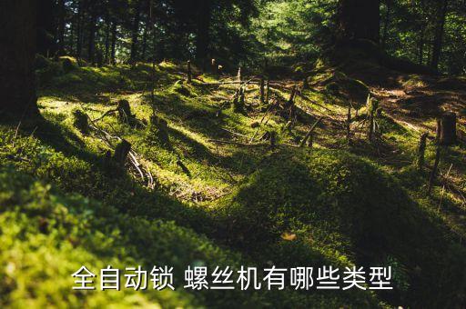 全自動(dòng)鎖 螺絲機(jī)有哪些類型