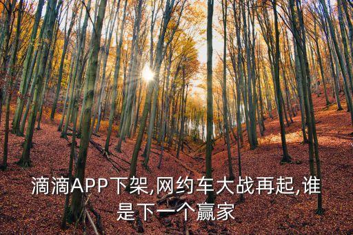 滴滴APP下架,網(wǎng)約車大戰(zhàn)再起,誰是下一個贏家