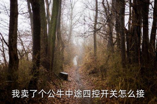 我賣了個公牛中途四控開關(guān)怎么接