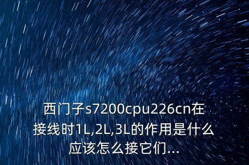 西門子s7200cpu226cn在接線時(shí)1L,2L,3L的作用是什么應(yīng)該怎么接它們...