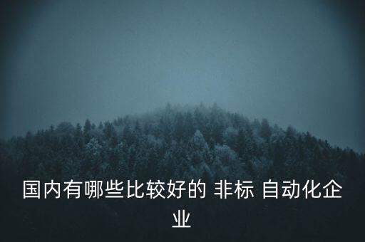 國內(nèi)有哪些比較好的 非標(biāo) 自動化企業(yè)