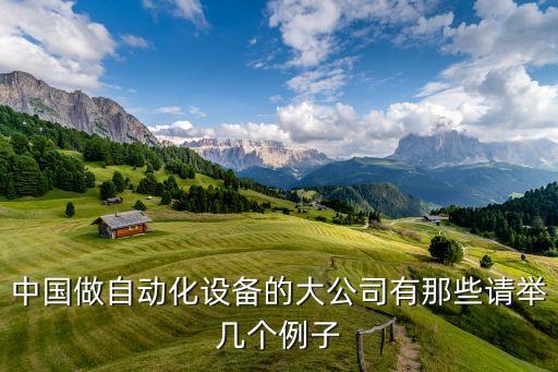 中國做自動化設(shè)備的大公司有那些請舉幾個例子