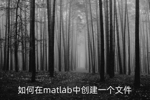 如何在matlab中創(chuàng)建一個文件