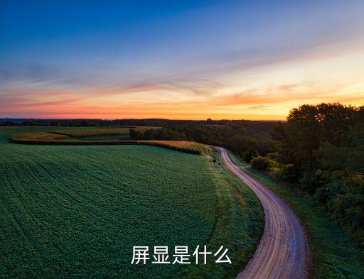 屏顯是什么
