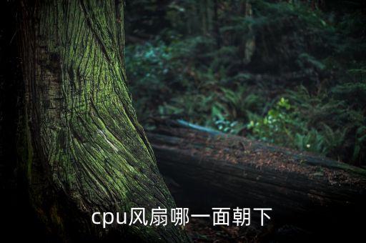 cpu風(fēng)扇哪一面朝下