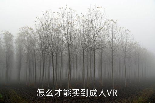 怎么才能買到成人VR