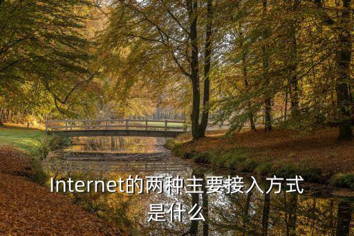Internet的兩種主要接入方式是什么