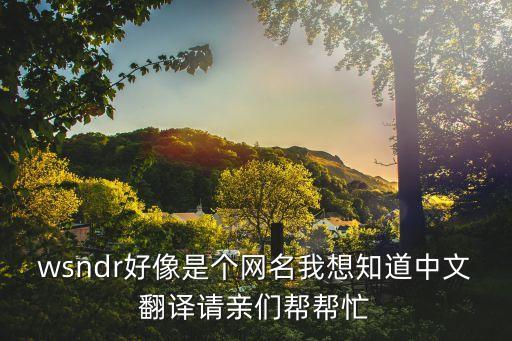 wsndr好像是個(gè)網(wǎng)名我想知道中文翻譯請(qǐng)親們幫幫忙