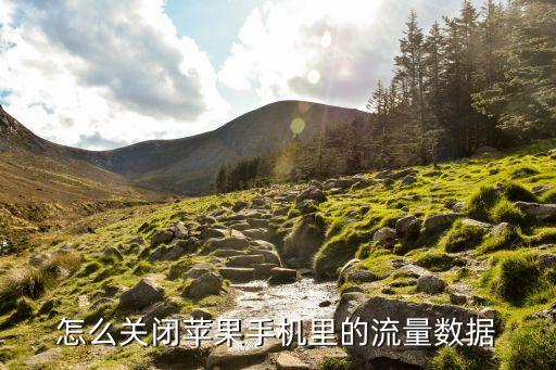 怎么關(guān)閉蘋果手機(jī)里的流量數(shù)據(jù)