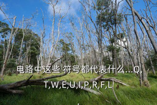  電路中這些 符號都代表什么…Q,T,W,E,U,I,P,R,F,L.