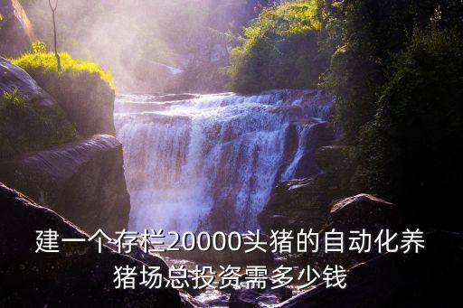建一個存欄20000頭豬的自動化養(yǎng)豬場總投資需多少錢