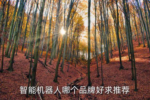 狗尾草機器人融資,想買早教機器人嗎?必須知道這些事兒