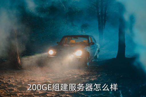 200ge，200GE組建服務器怎么樣