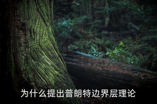 邊界層理論，邊界層理論不能用于分析充分發(fā)展的管內(nèi)強(qiáng)迫流動(dòng)這是為什么  搜