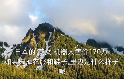 美女機(jī)器人制作圖,簡(jiǎn)單機(jī)器人制作圖