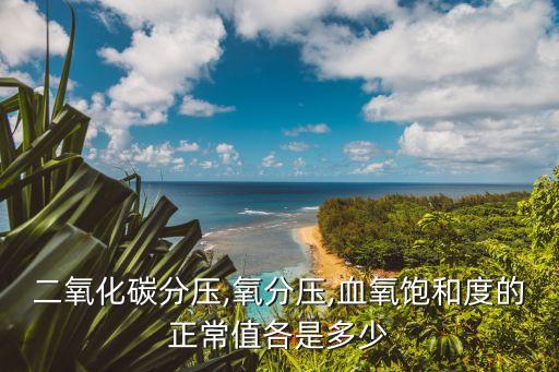 二氧化碳分壓,氧分壓,血氧飽和度的正常值各是多少