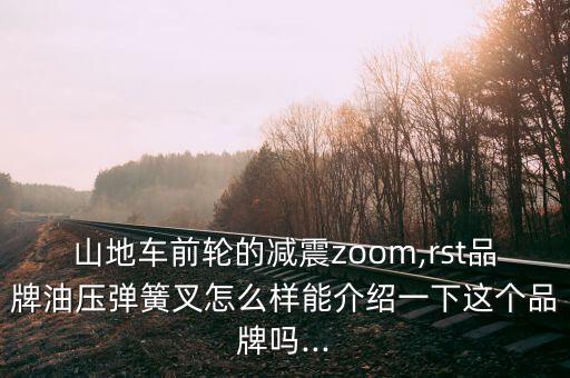 山地車前輪的減震zoom,rst品牌油壓彈簧叉怎么樣能介紹一下這個(gè)品牌嗎...