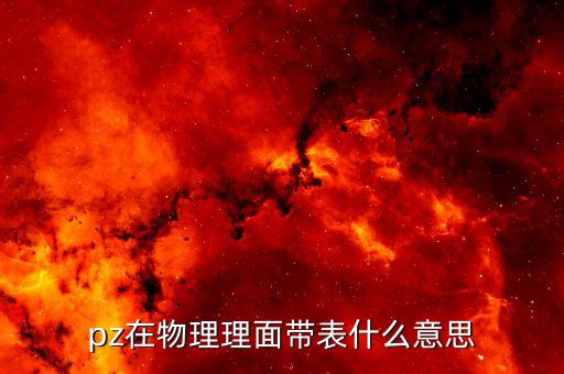 pz在物理理面帶表什么意思