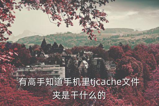 有高手知道手機(jī)里tjcache文件夾是干什么的