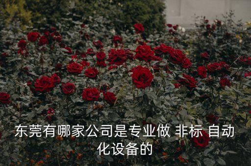 非標(biāo)定制九鼎自動化科技怎么樣
