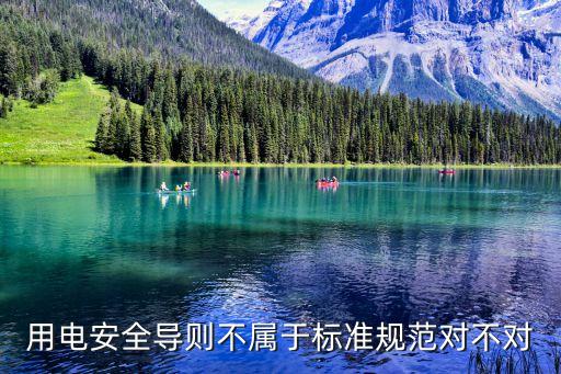 用電安全導(dǎo)則不屬于標(biāo)準(zhǔn)規(guī)范對(duì)不對(duì)